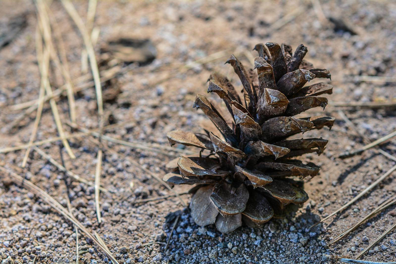 Student reviewing notes and finances while planning university options